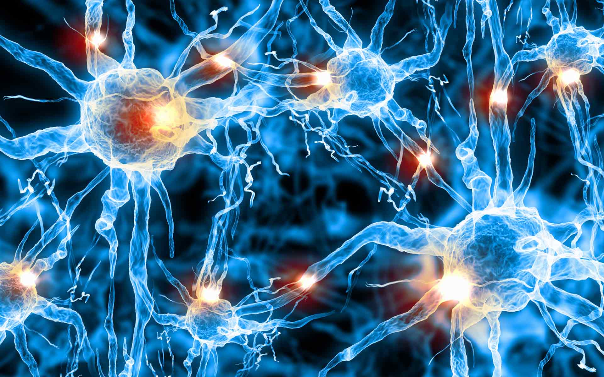 Hempel Intermetaux SA - associations Hempel Intermetaux SA - associations